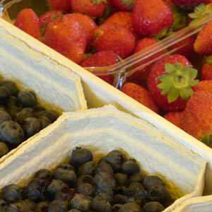 Erdbeeren und Heidelbeeren in Portionsschalen