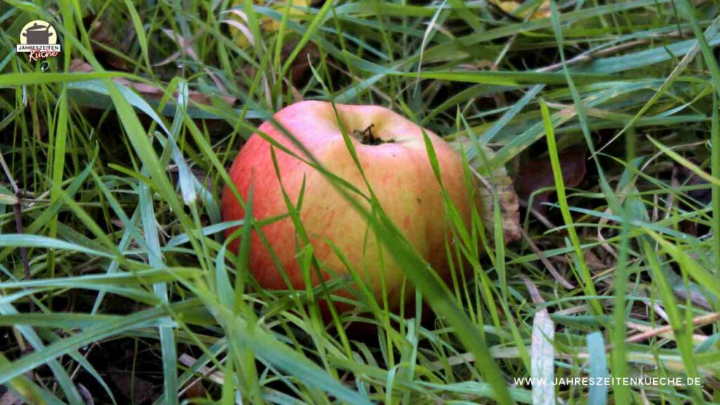 Ein Apfel liegt im Gras