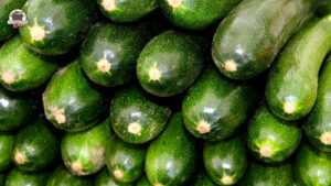 Viele frische Zucchini sind übereinander geschichtet